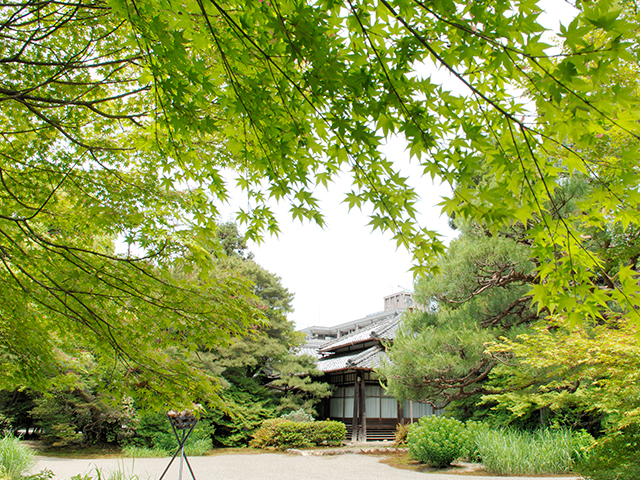 庭園1