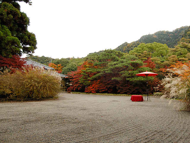 紅葉
