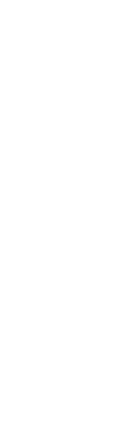 長良川 金華山